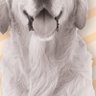 Kasian's profile picture