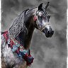 Фото профиля LeeH..