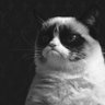 Andrei's profile picture