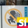 HF 的头像