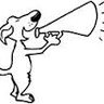 Corneta Fogo's profile picture