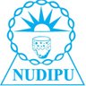 NUDIPU 的头像