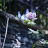 Фото профиля نور