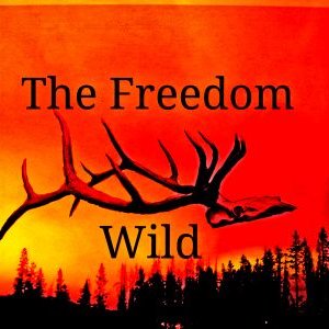 The Freedom Wild's profile picture