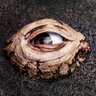 Фото профиля Tim Hertel