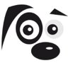 Tulio's profile picture