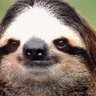 Profilbild von Seakay
