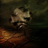 Profilbild von Dreamspace