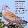 (((عز الخيل))) profil fotoğrafı