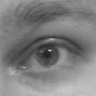 Profilbild von Dominic