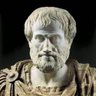 Plato profil fotoğrafı