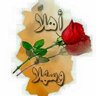 hamidgo's profile picture