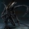Tomaspflores's profile picture