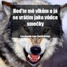 Petr Tauš's profile picture