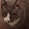 Eric D. Cox's profile picture