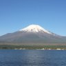 マシュー [mάːʃuː]'s profile picture