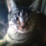 Profilbild von ひろ