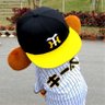 しけた's profile picture