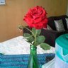 Antonieta Lopez's profile picture