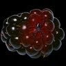 scarimor โ๏ธ๐ณ๏ธโ๐'s profile picture