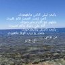 Profilbild von محمد ال عمر .