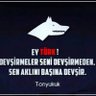 Kasım çerikan's profile picture