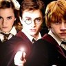 Profilbild von Harry Potter™▕⃝⃤ ⚯ ͛