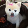 Bobbie J.'s profile picture