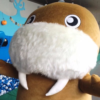 うちっちー【公式】's profile picture