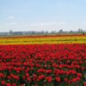 Фото профиля Chris H