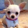 Profilbild von judy sale