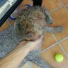 Quique 的头像