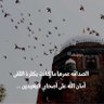ام نايف's profile picture