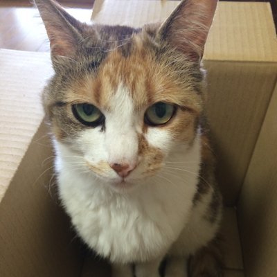 那須の長楽寺's profile picture