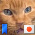 Profilbild von ちゃとりーぬ