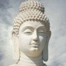Profilbild von BHARAT