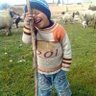 ناجى العوكلي's profile picture