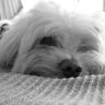 Elena's profile picture