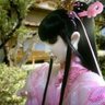 MGdesigner's profile picture