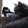 H.Quant profil fotoğrafı