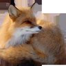 asdjkfadhsfvbgdshabfkhdfs's profile picture