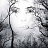 Natalia's profile picture