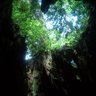 アビママ 的头像