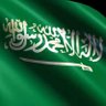 سلطان 的头像