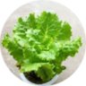 君莫笑's profile picture