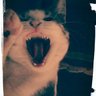 Profilbild von Octavio...