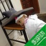 جمال خيرالله's profile picture