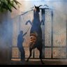 Fahd ,,'s profile picture