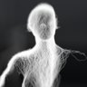Taquet Film's profile picture