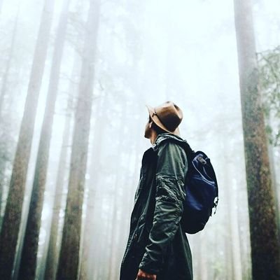 DMeursault's profile picture